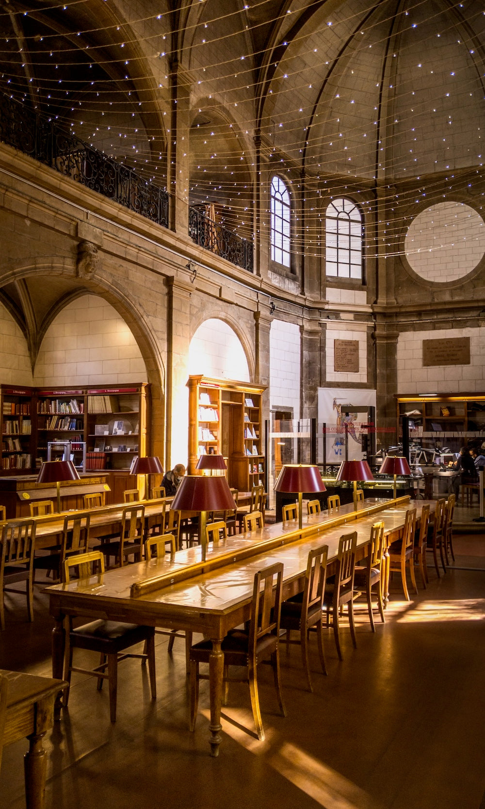 Bibliothèque Dijon - 18"x30" - Aluminum