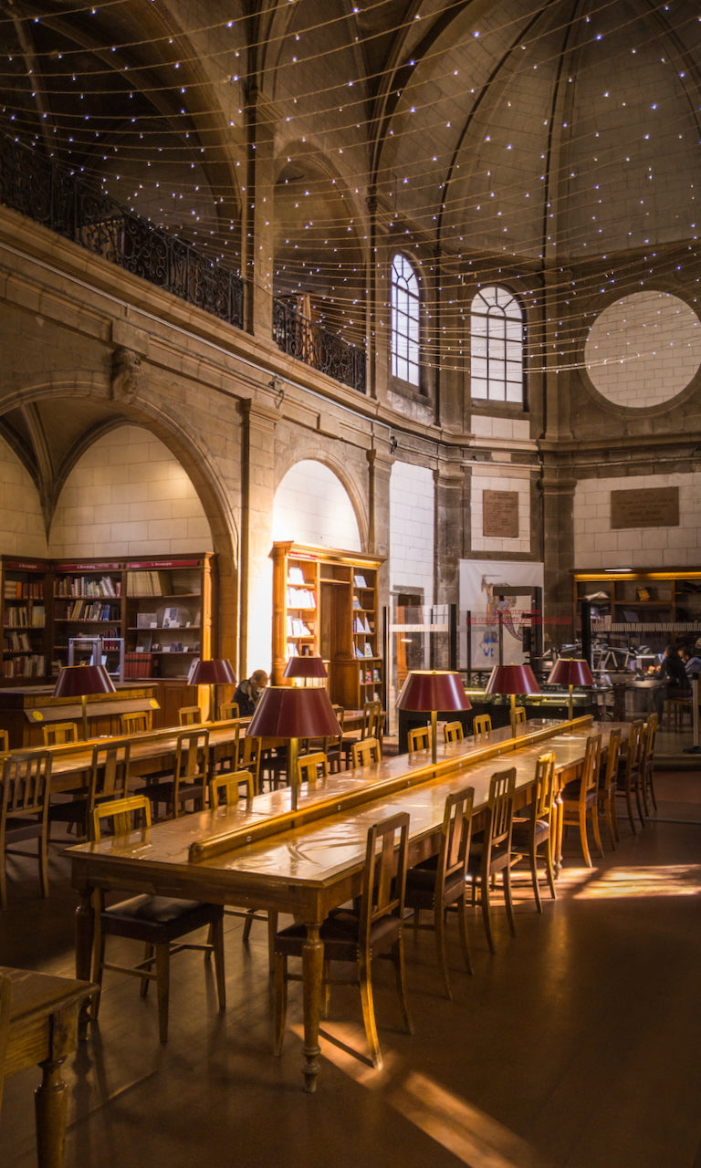 Bibliothèque Dijon - 18"x30" - Aluminum