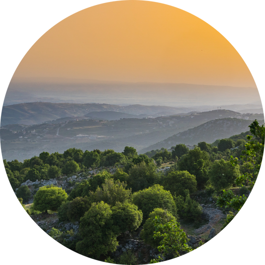 Akkar's Sunset Serenity