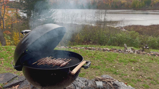 BBQ by Autumn Lake in 4K