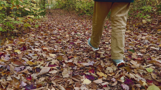 Footsteps on Autumn Leaves in 4K