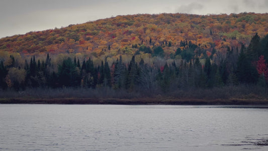 Mountain by Calm Lake in 4K