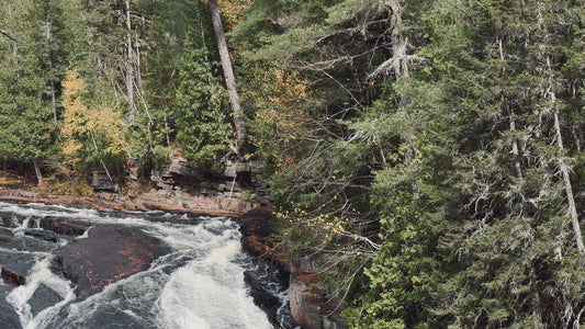 Forest River Rapids and Waterfall in 4K