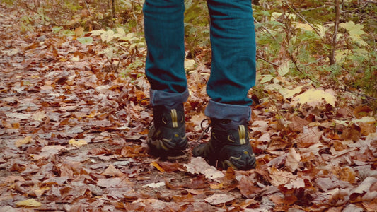 Hiker on Autumn Trail in 4K