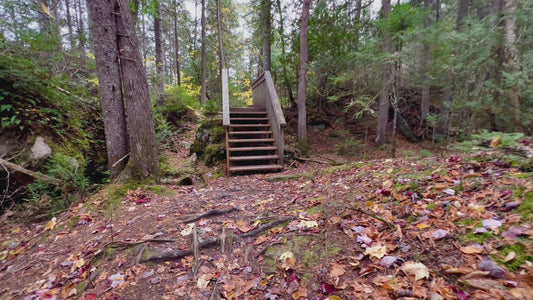 Wooden Stairs on Nature Trail in 4K