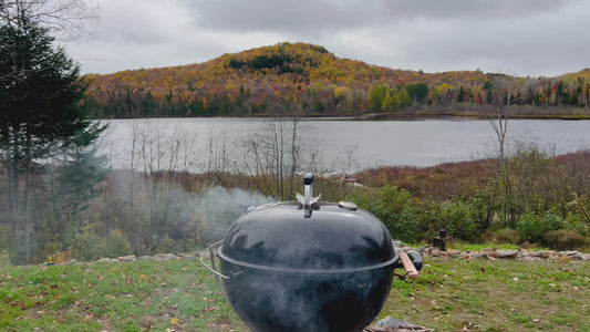 BBQ by Scenic Lake in 4K